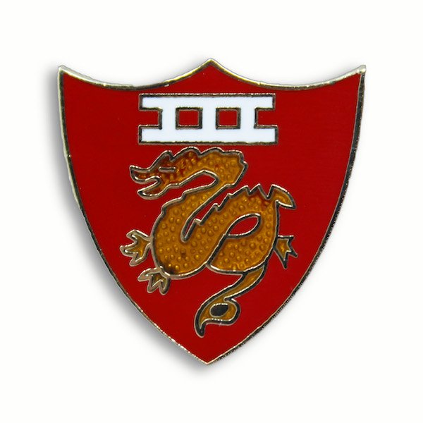 3rd Marine Amphibious Force Pin
