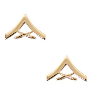 Marine Corps Lance Corporal Chevron