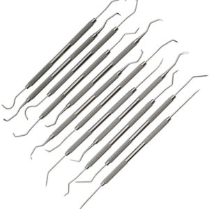 Stainless Steel Dental Pick Set 12