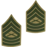 a pair of Marine Corps Chevron Master Sergeant OD Green Khaki
